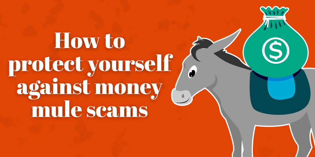 How to protect yourself against money mule scams