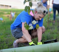 An F&M Trust employee crouched and actively planting a tree.